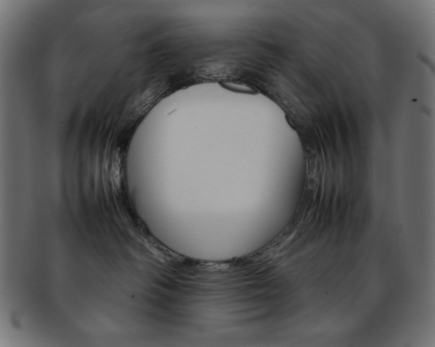 X0000092240334200709141008