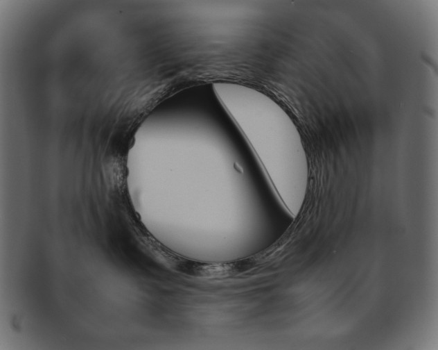 X0000092240335200709141008