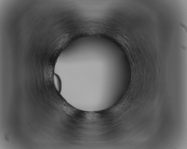 X0000092240336200709141008