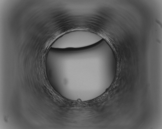X0000092240337200709141008