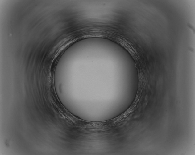 X0000092240338200709141008