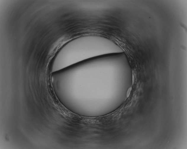 X0000092240339200709141008