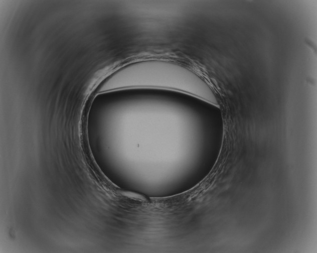 X0000092240340200709141008