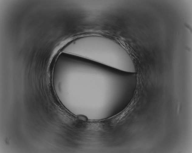 X0000092240342200709141008