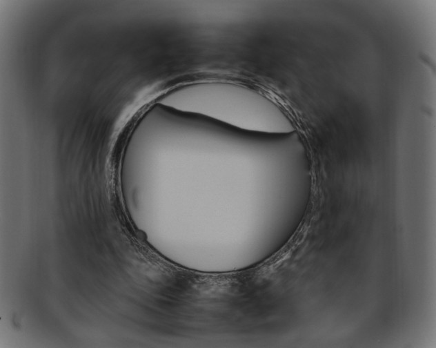 X0000092240343200709141008