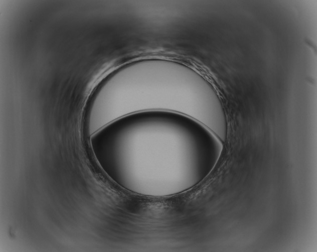 X0000092240344200709141008