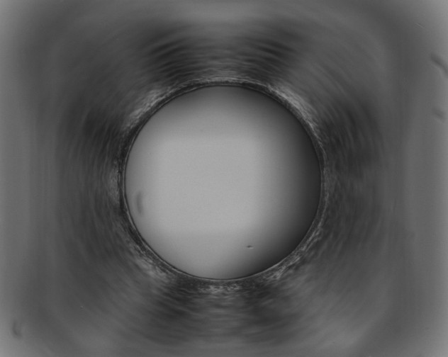 X0000092240345200709141008