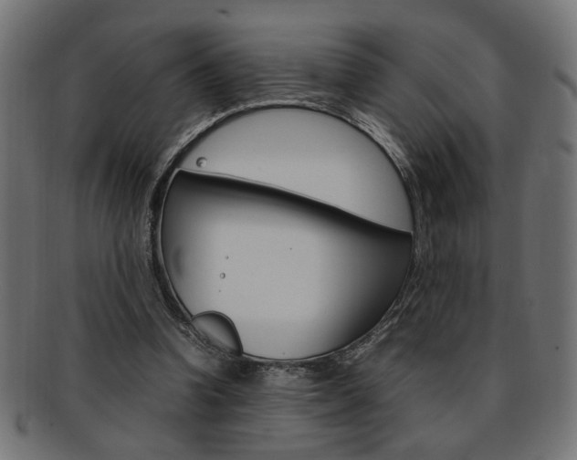 X0000092240346200709141008