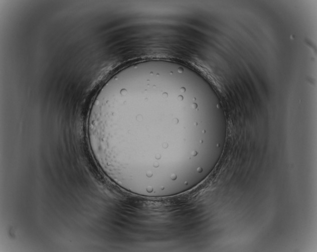 X0000092240347200709141008
