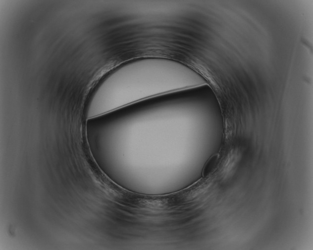 X0000092240349200709141008