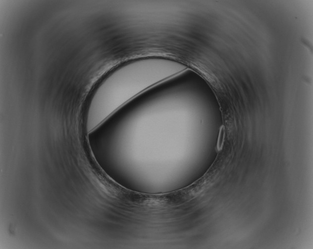 X0000092240350200709141008