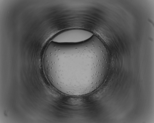 X0000092240351200709141008