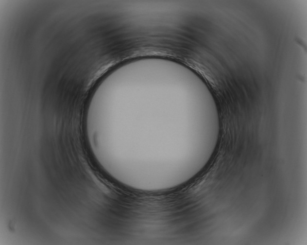 X0000092240352200709141008