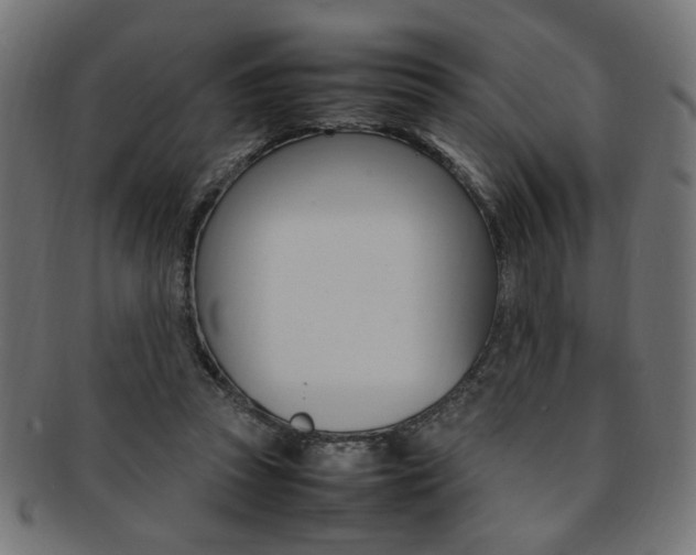 X0000092240353200709141008