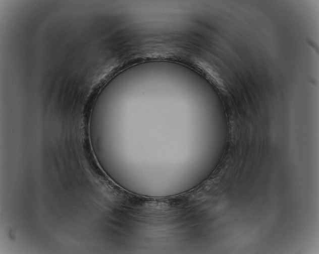 X0000092240354200709141008