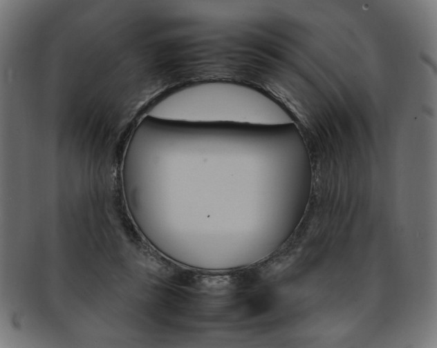 X0000092240355200709141008
