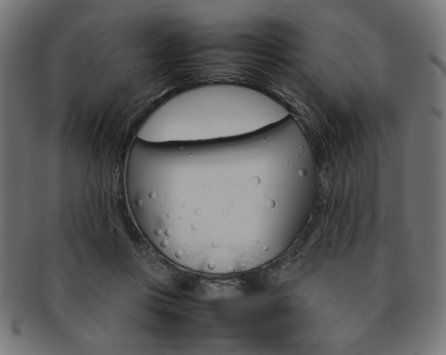 X0000092240359200709141008