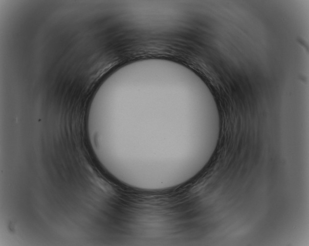 X0000092240360200709141008