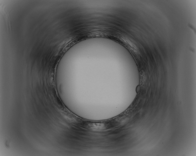 X0000092240361200709141008