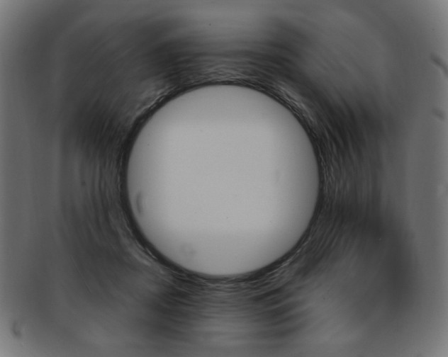 X0000092240362200709141008