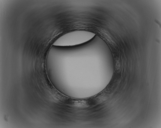 X0000092240363200709141008