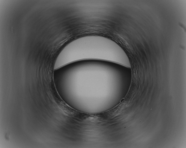X0000092240364200709141008