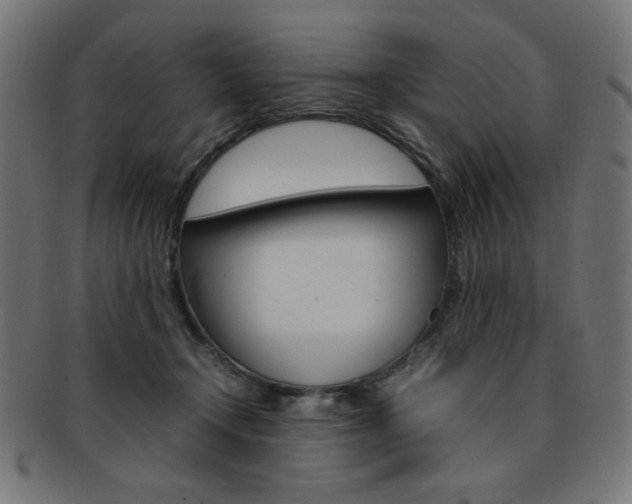 X0000092240366200709141008