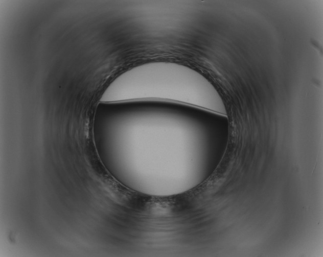 X0000092240368200709141008