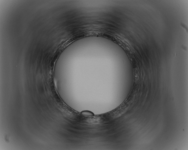 X0000092240369200709141008