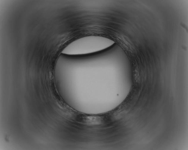 X0000092240371200709141008