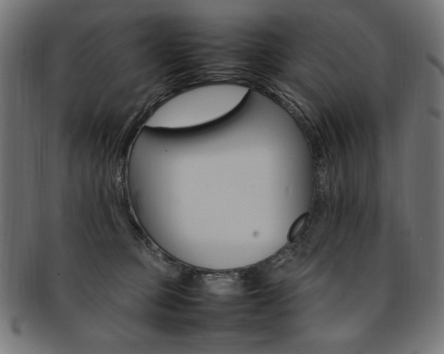 X0000092240373200709141008