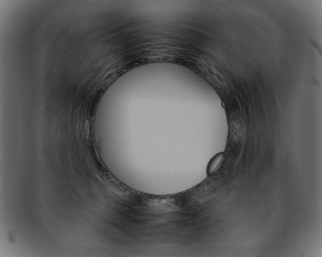 X0000092240375200709141008