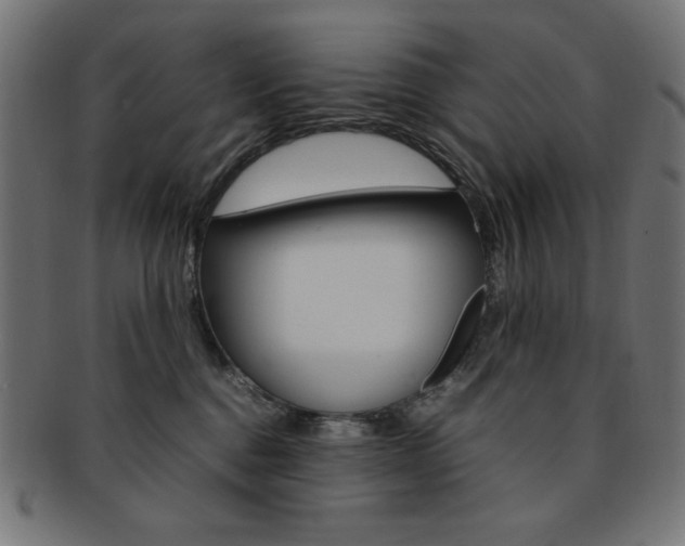 X0000092240376200709141008