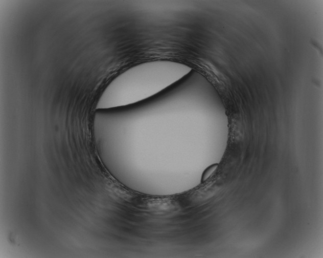 X0000092240377200709141008