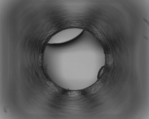 X0000092240378200709141008