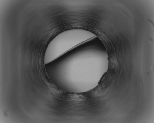 X0000092240379200709141008