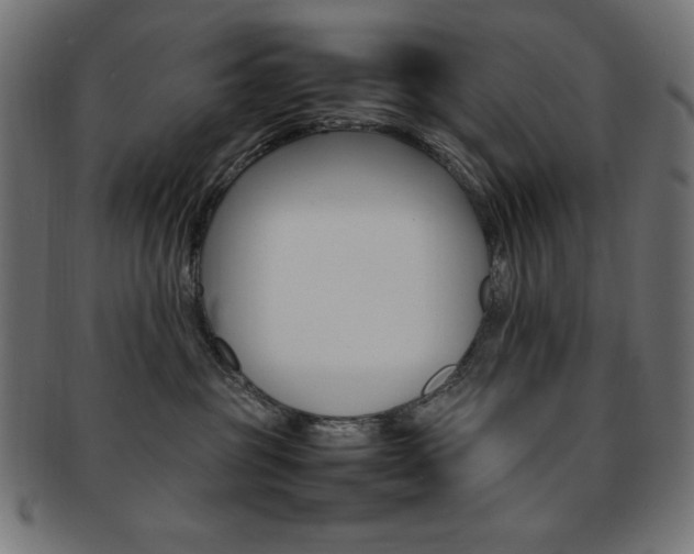 X0000092240381200709141008
