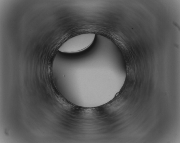 X0000092240382200709141008