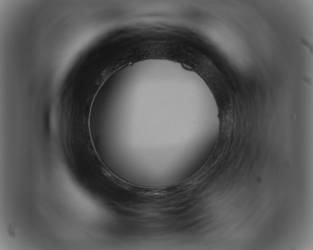 X0000092240383200709141008
