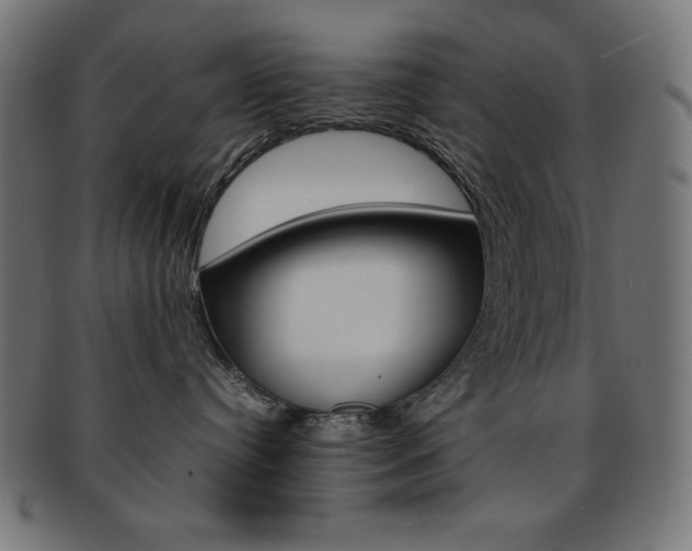 X0000092240384200709141008
