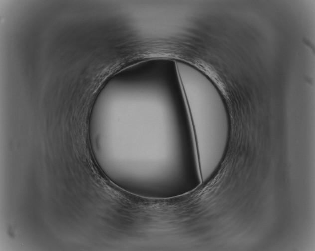 X0000092240385200709141008