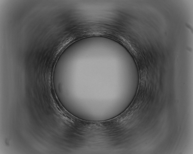 X0000092240386200709141008