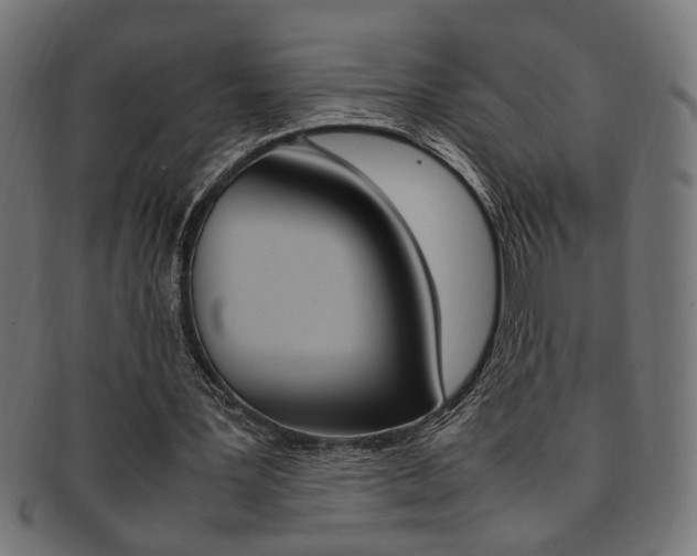 X0000092240387200709141008