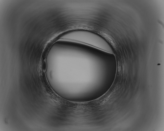 X0000092240388200709141008