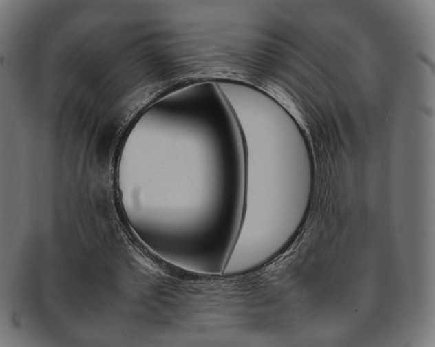 X0000092240389200709141008
