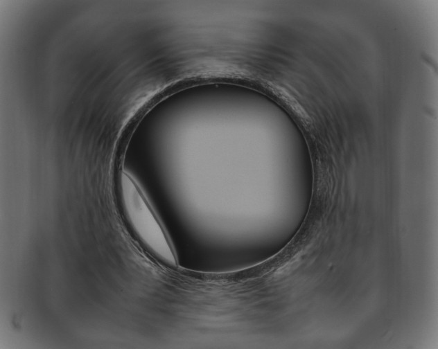 X0000092240391200709141008