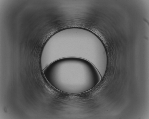 X0000092240393200709141008