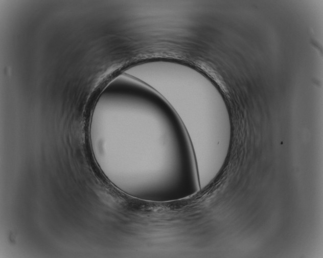 X0000092240395200709141008