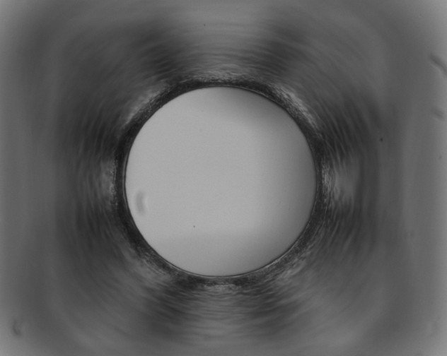 X0000092240396200709141008