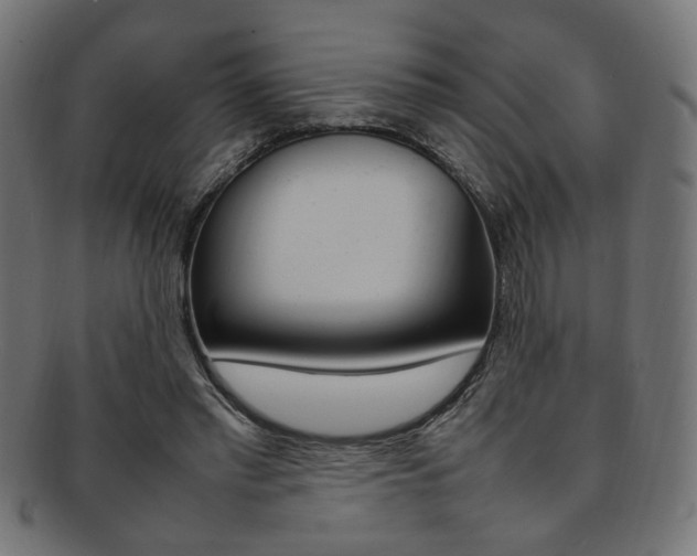 X0000092240397200709141008